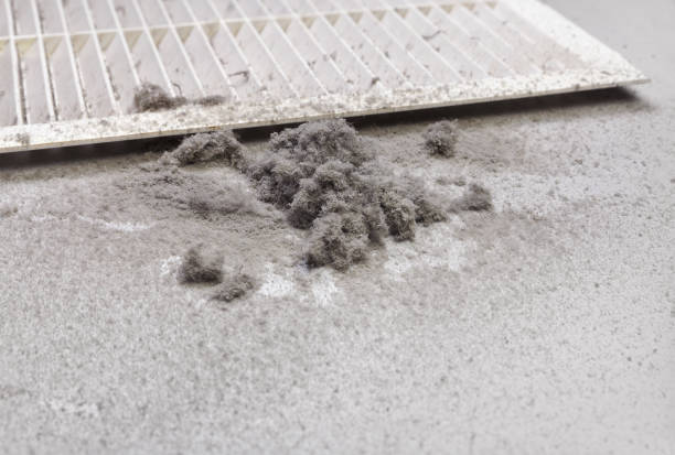 Best Affordable Air Duct Cleaning  in Clermont, GA