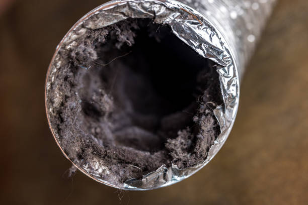 Best Residential Air Duct Cleaning  in Clermont, GA